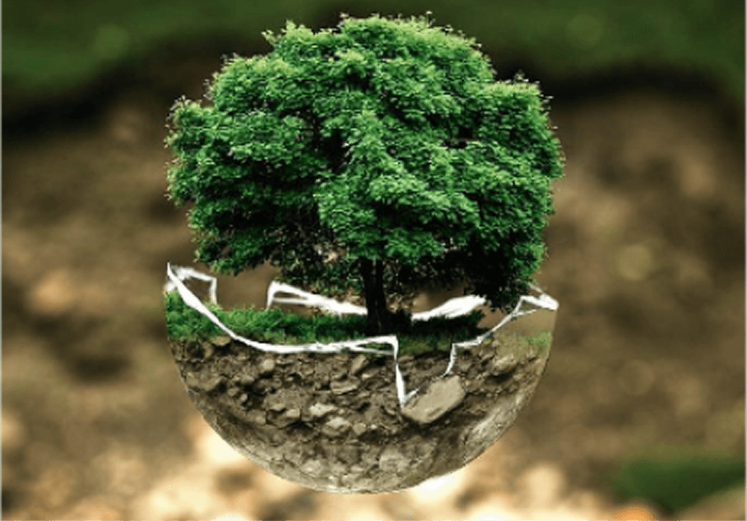 Architectural, Structure & Mechanical Drawings